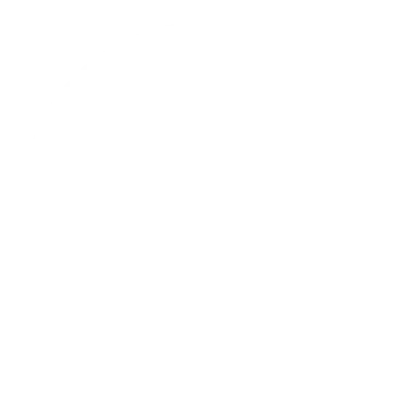 BAN495 - Safe Working Icon