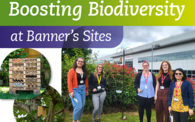 Boosting Biodiversity at Our Normanton Office